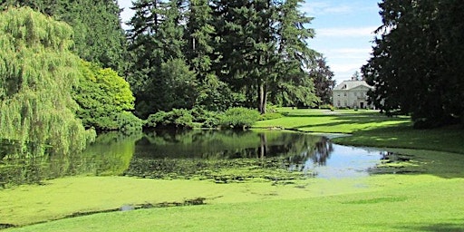 PAWA Paints Bloedel Reserve 2024 | The Bloedel Reserve