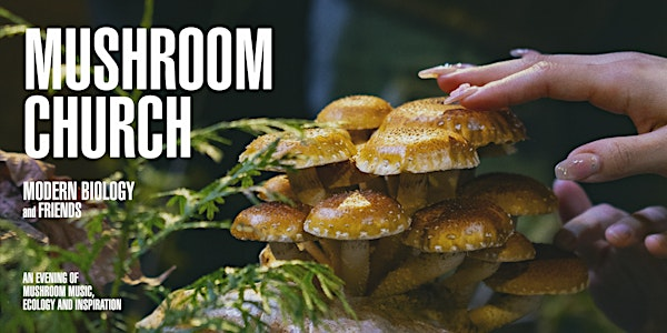 Mushroom Church - Vancouver | Christ Church Cathedral