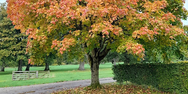 Autumn Equinox Workshop - Grounding, Gratitude and Balance | Monkton Park Methodist Church