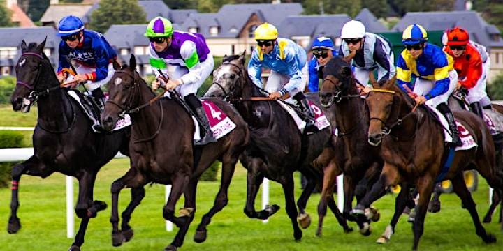 Zest Singles Day at the Races! | Exeter Racecourse