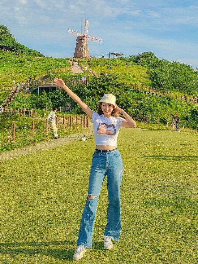 진짜 바람이 엄청 부는 바람의 언덕