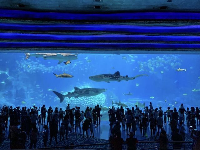 珠海長隆海洋王國