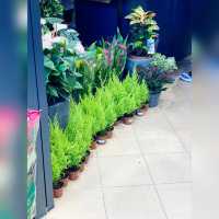 花香撲鼻