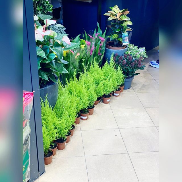 花香撲鼻