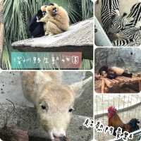 深圳野生動物園🤩深受旅客🧳歡迎