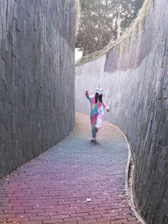 Tree Tunnel at Fort Canning Park