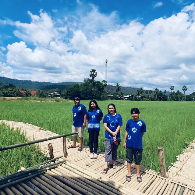 สะพานทุ่งนาแห่งร่องเขานครชุม