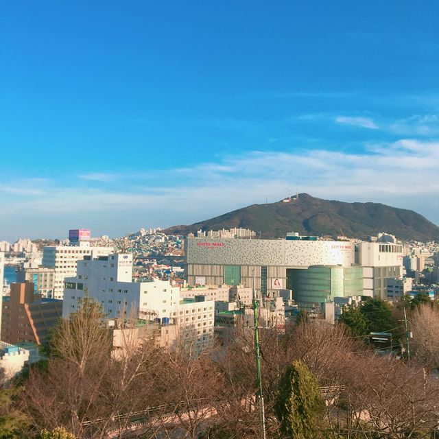 [부산 남포동] 용두산 공원뷰를 감상할수 있는 카페