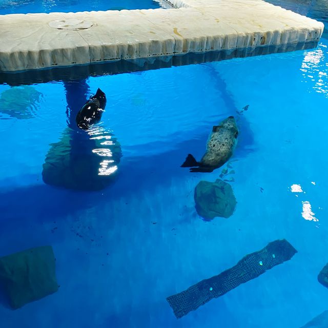 北極之旅