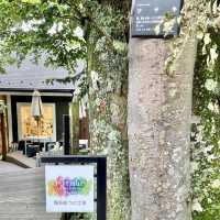 陶芸絵付け体験ができる強羅公園