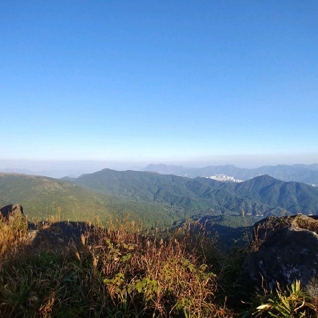 夢之大帽山