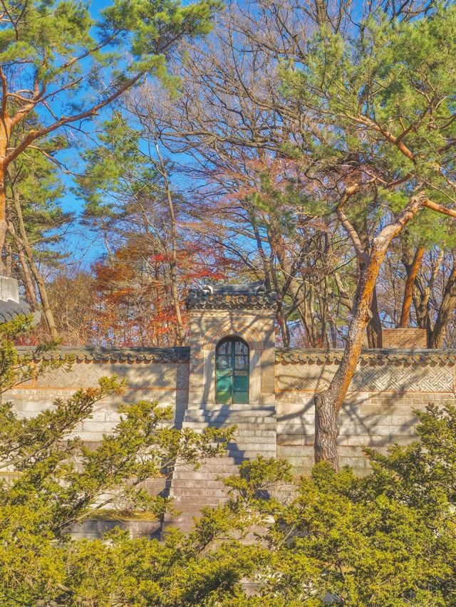 궁궐의 재발견, 청기와가 아름다운 이 곳✨
