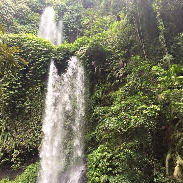 Hiking @ Mount Rinjani