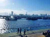 觀塘海濱花園