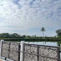南部生態園區🏞️白色的浪漫世界！自然生態參觀、導覽，旅遊好去處！