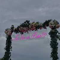 10k Roses!