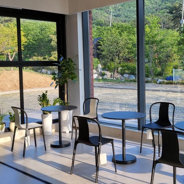 ⭐️포레스트뷰 백운호수 신상카페⭐️ :: 호야스