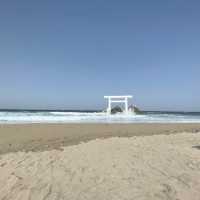福岡のはずせないおすすめスポット