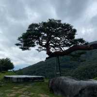 동의보감촌