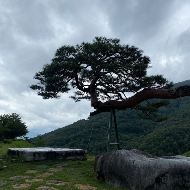 동의보감촌