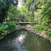 Ethnobotany Gardens Singapore 