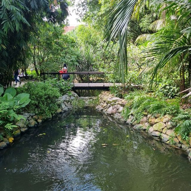 Ethnobotany Gardens Singapore 