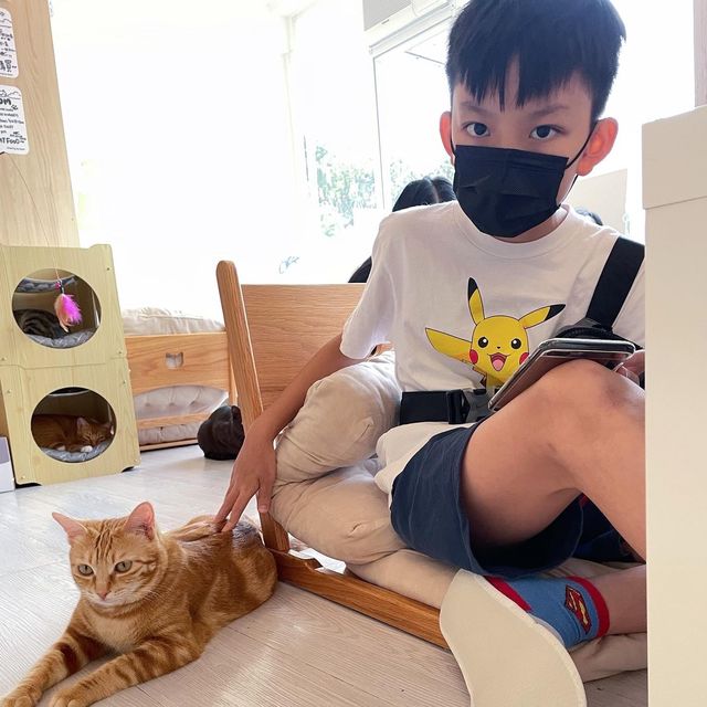 貓cafe againnnn…