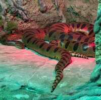 Seville aquarium 