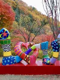 10월 핫플 여행지::화담숲🍁