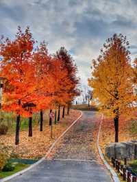 경남 거창 도시숲죽전공원, 분설담은 단풍놀이 숨겨진 명소🍂🍁