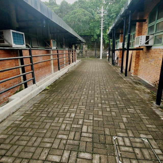 城市綠洲之充滿文化氣息既牛棚藝術村