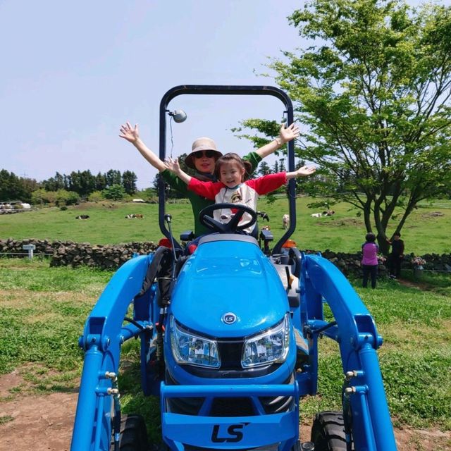 제주 아침미소목장