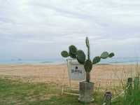 Eureka Beach 