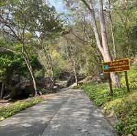 HUAY KAEW WATERFALL 