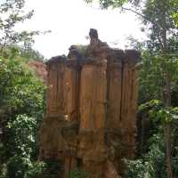 ผาช่อ@อุทยานแห่งชาติแม่วาง