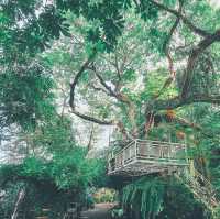 café​ ริมน้ำ​บรรยากาศ​ร่มรื่น