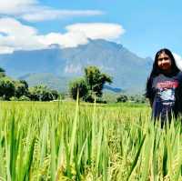 ดอยหลวงเชียงดาว​ ⛰️