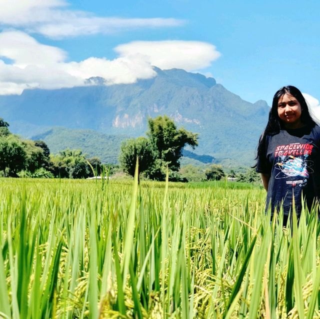ดอยหลวงเชียงดาว​ ⛰️