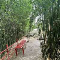 Baguio Bamboo Sanctuary