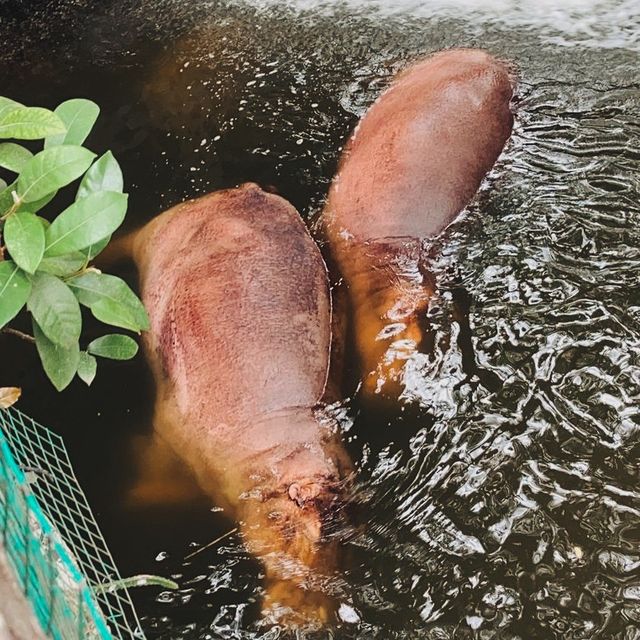 ชลบุรีไม่ได้มีดีแค่ทะเล...