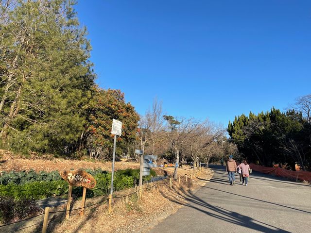 名古屋•守山⛰かなり広い公園、そしてお洒落レストランも【小幡緑地】