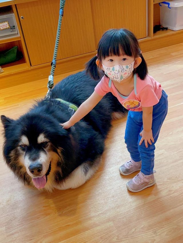 寵物嘉年華：與小動物近距離接觸互動