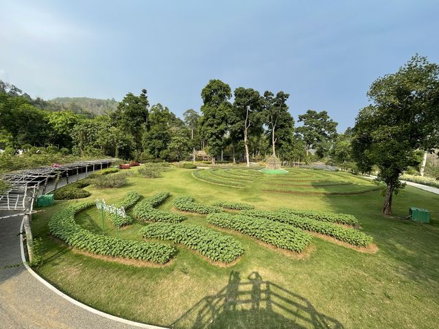ตาดร้อยครัว ຕາດຮ້ອຍຄົວ Green Jungle Park