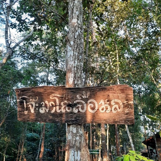 ครูอาสา ณ โจ๊ะมาโลลือหล่า จ.เชียงใหม่