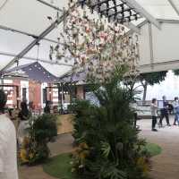 「花見大館」展覽
