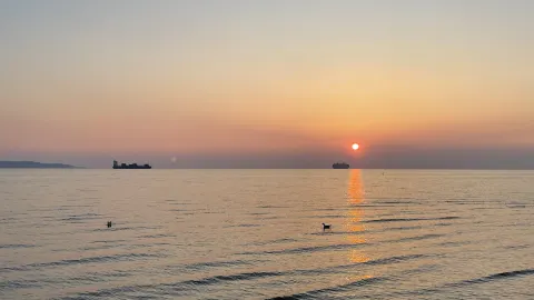 슬로베니아 최고의 오션뷰 — traveler post in 코페르