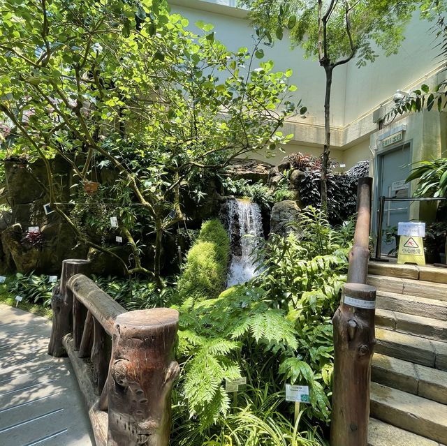 熱帶植物展覽館@霍士傑溫室 熱帶植物展覽館@霍士傑溫室