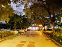 夜遊海豚廣場