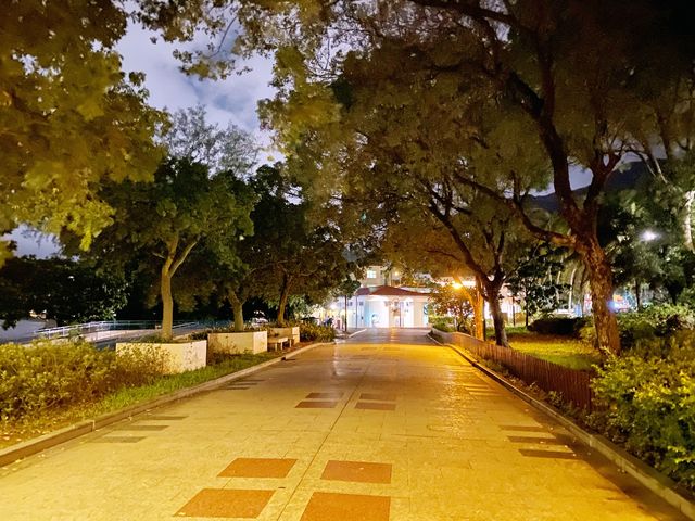 夜遊海豚廣場