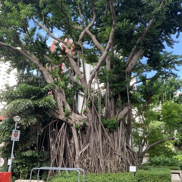 Self-walking tour around Tanjong Pagar area